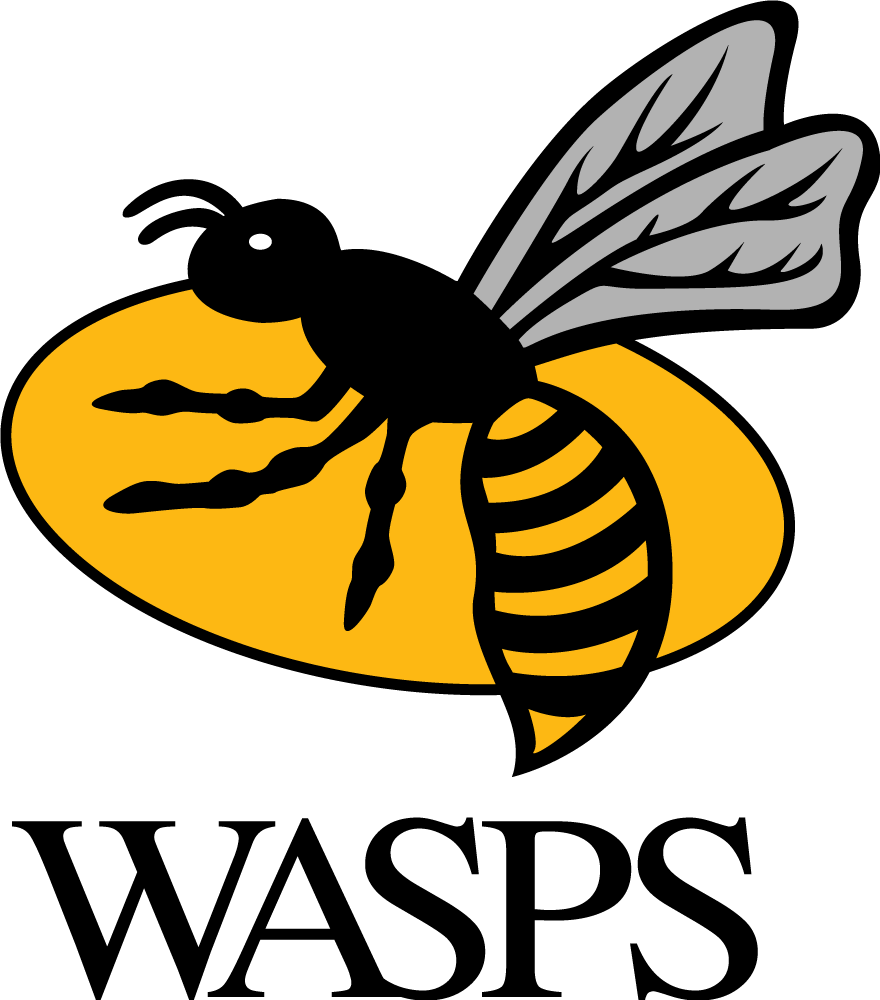 wasps pres primary logo t shirt iron on transfers